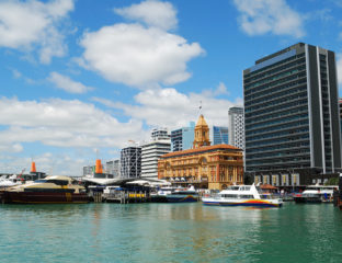 Yeni Zelanda’da İngilizce Eğitimi